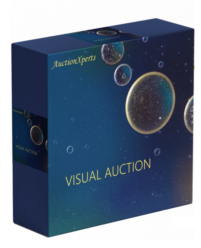Timed Auction Software